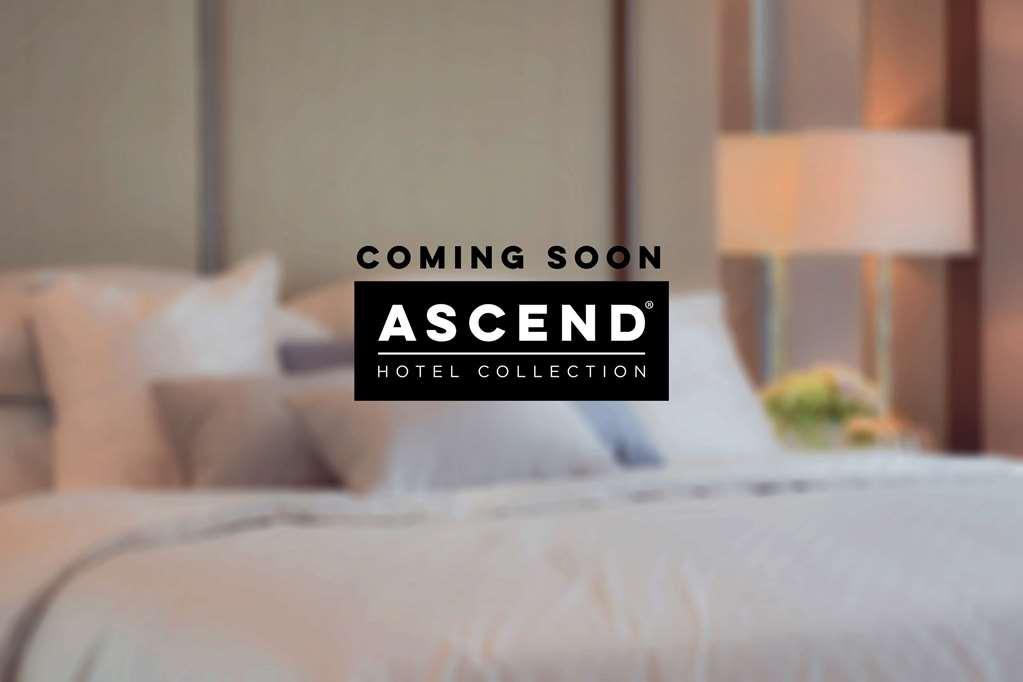Mayfair Hotel, Ascend Hotel Collection New York Extérieur photo